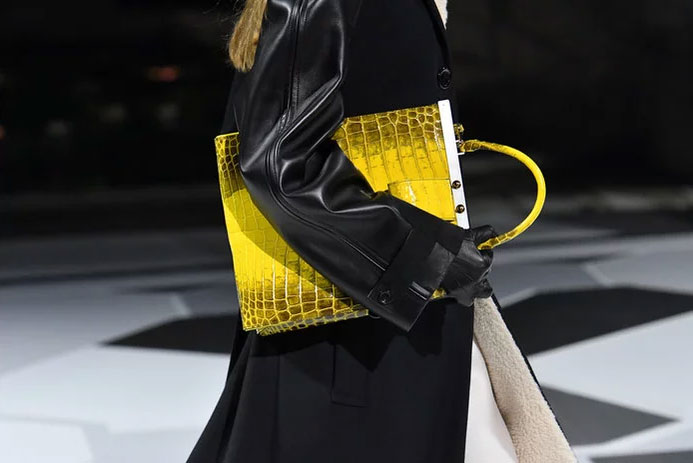 Yellow exotic at Louis Vuitton