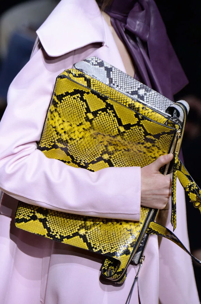 Snakeskin Bag at Rochas